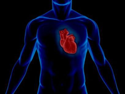 Статистика заболеваний сердечно сосудистой системы
