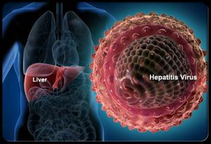 Вирусные гепатиты: что это такое, профилактика, лечение, симптомы, признаки, диагностика, причины, какие бывают