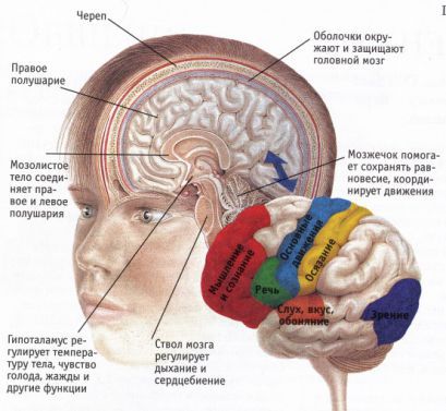 Преходящие нарушения мозгового кровообращения