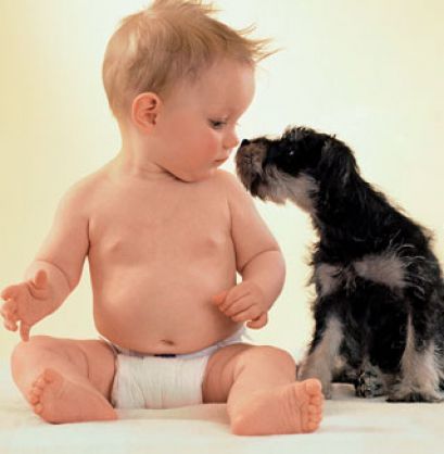 Безопасность ребенка рядом с животными