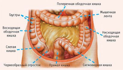 Заболевания тонкой и толстой кишки при ВИЧ-инфекции и СПИДе