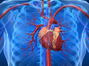 Сердечная недостаточность при атеросклеротическом кардиосклерозе, лечение, причины