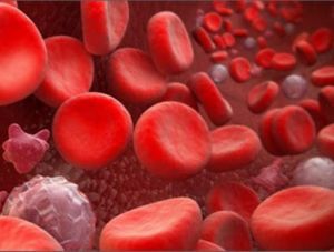Нарушения свертываемости крови: общие положения, симптомы, причины