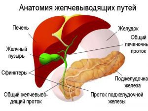 Желчные протоки сужение: симптомы, лечение, удаление