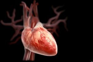 Патология клапанов сердца при беременности