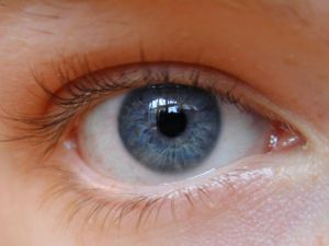 Трахома глаз, лечение и симптомы
