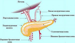 Тромбоз селезеночной артерии