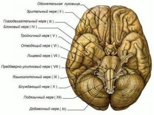 Поражение III, IV, VI пары черепных нервов