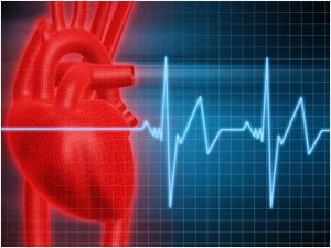 Показатели сердечной деятельности