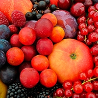 Плодово ягодные культуры