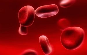Эритроциты в крови у человека: что это такое и что значат нормы, повышение, понижение, причины