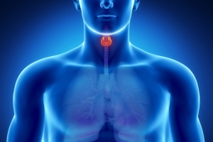 Какие лекарства влияют на щитовидную железу