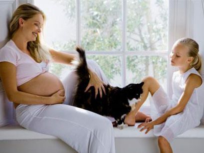Материнская адаптация к беременности