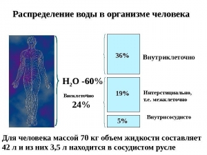 Распределение биологических жидкостей в организме