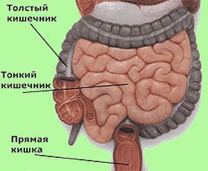 Атония толстой кишки