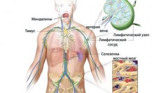 Первичная лимфома центральной нервной системы
