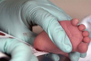 Скрининг при беременности, генетический скрининг новорожденных