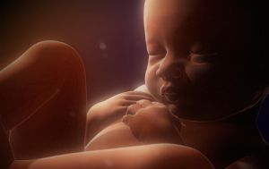 Лицевое предлежание плода Лицевое предлежание плода