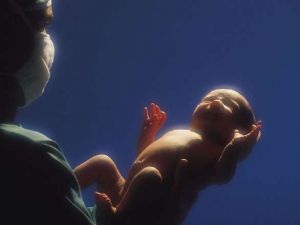 Неинфекционные заболевания кожи, подкожной клетчатки, пуповинного остатка и пупочной ранки у новорожденных детей