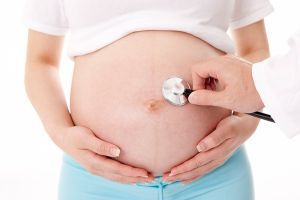 Плацента при беременности: что такое плацента