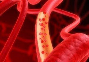 Особенности кровеносной системы почек