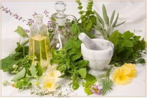 Лекарственные растения (травы) для детей