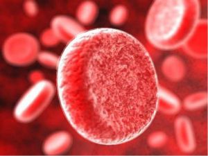 Определение числа тромбоцитов в крови