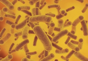 Бессимптомная бактериурия: что это такое, лечение, причины, симптомы, признаки