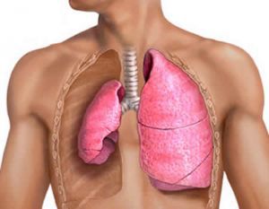Пневмоторакс легких: лечение, первая помощь, симптомы, причины, признаки, диагностика