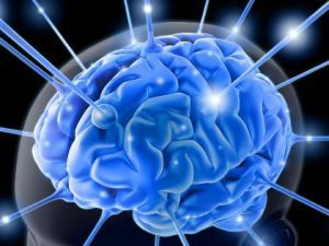Нейроглиальная система головного мозга