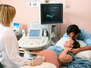 Второе плановое УЗИ при беременности