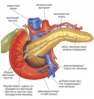 Продукты секреции поджелудочной железы