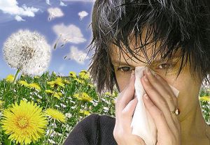 Поллинозы (сенная лихорадка), лечение, симптомы, причины