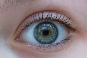 Акантамебный кератит глаза: лечение, симптомы, диагностика