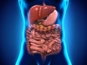 Влияние питания и окружающей среды на воспалительные заболевания кишечника