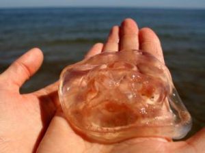 Поражение ядом медузы
