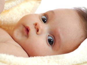 Раннее развитие головного мозга младенца
