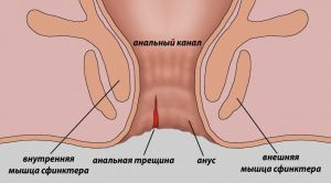 Отечность анальной области: причины, лечение